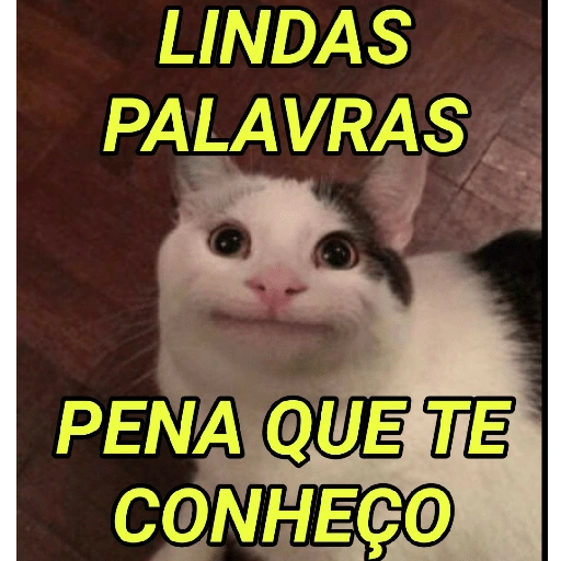 Figurinha: Gato "Lindas Palavras"