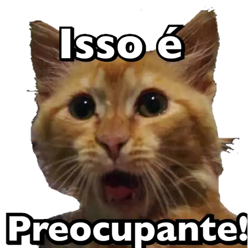 Figurinha: Gato preocupante
