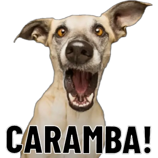 Figurinha: Cachorro gritando Caramba