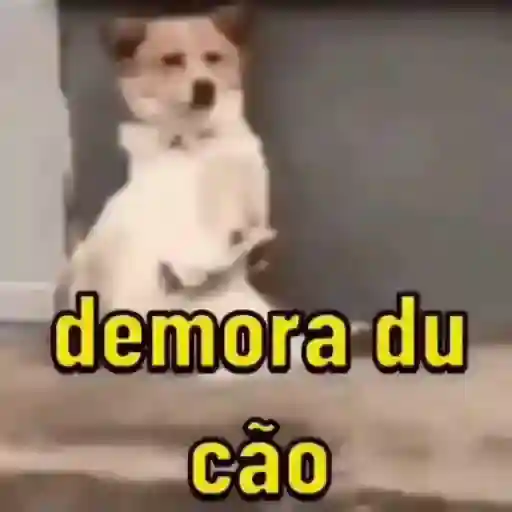 Figurinha: Cachorro esperando