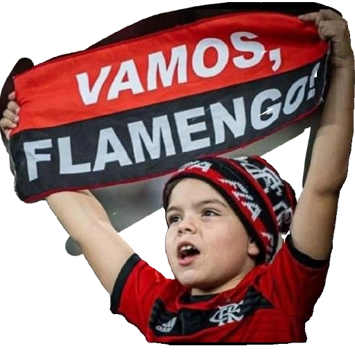 Figurinha: Vamos Flamengo