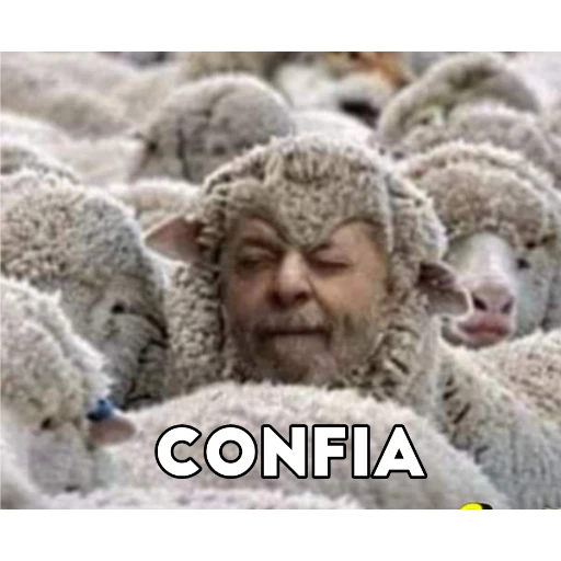 Figurinha: Confia