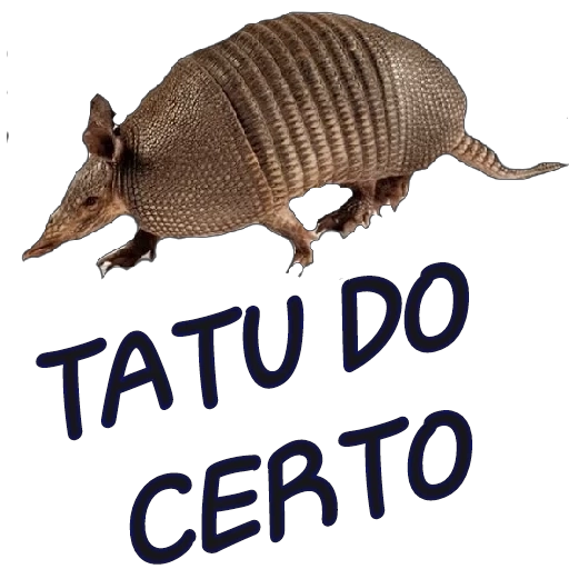 Figurinha: Tatu do Certo