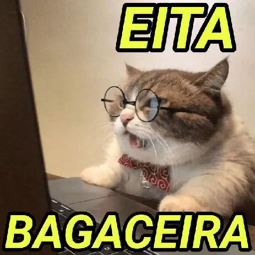 Figurinha: Gato Eita Bagaceira