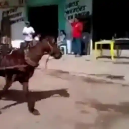 Figurinha: Cavalo com carroça na rua