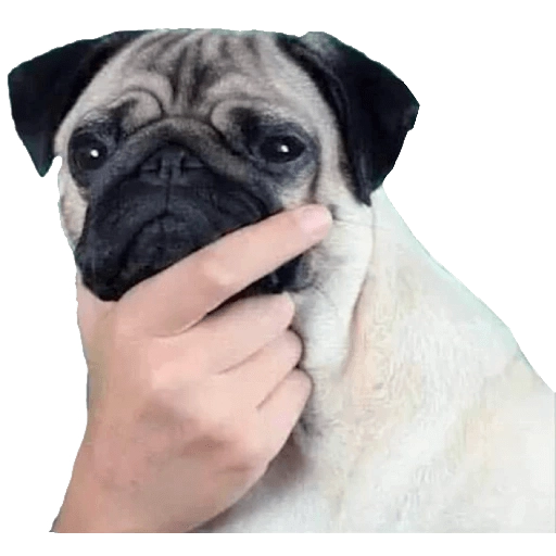 Figurinha: Cachorro pensando