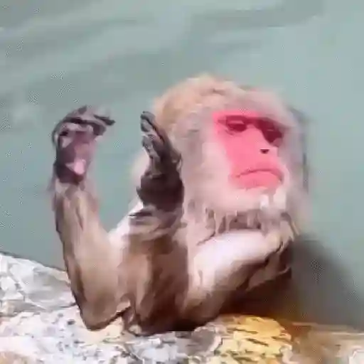 Figurinha: Macaco pensativo