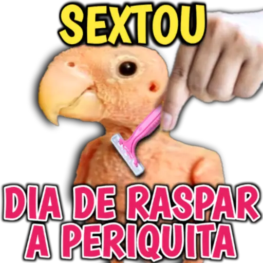 Figurinha: Sextou, dia de raspar a periquita