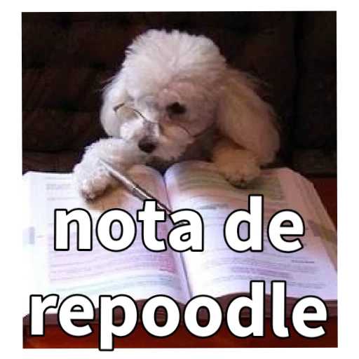 Sticker: A 'Repoodle' Grade