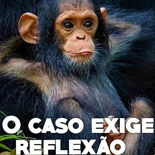 Figurinha: O Caso Exige Reflexão