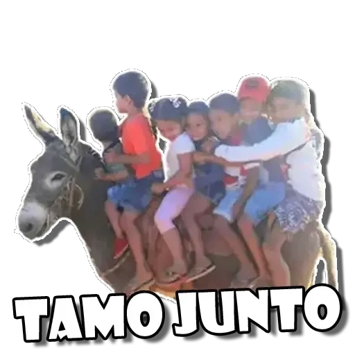 Figurinha: Crianças montadas em burro "Tamo Junto"