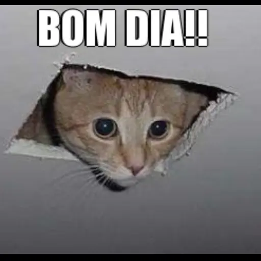 Figurinha: Bom Dia Gato Hole