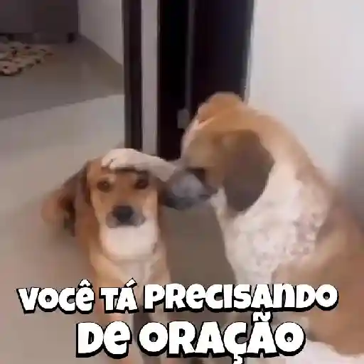 Figurinha: Você tá precisando de oração