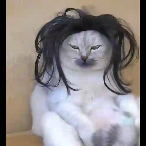 Figurinha: Gato com peruca penteando