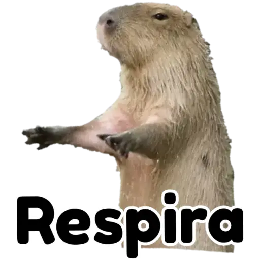 Figurinha: Capivara Pedindo Respira