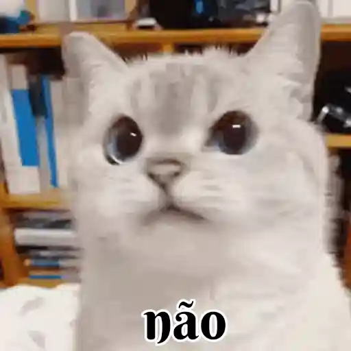 Figurinha: Gatinho dizendo não