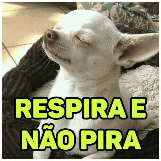 Figurinha: Cachorro respira e não pira