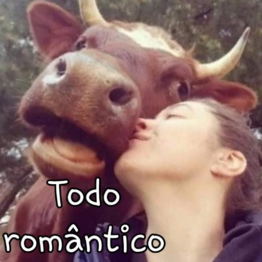 Figurinha: Vaca romântica beijando a dona