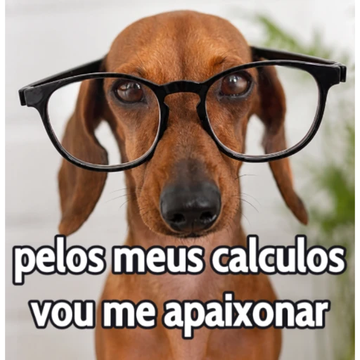 Figurinha: Pelos meus calculos