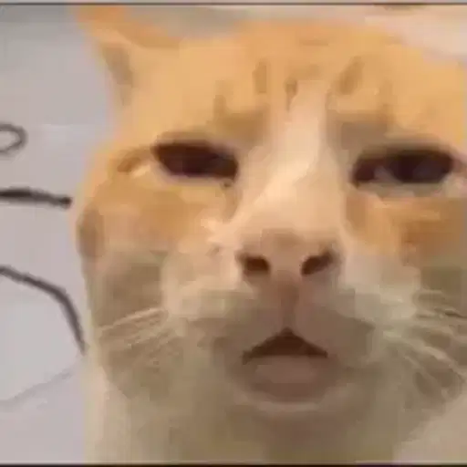 Figurinha: Gato com cara de sono