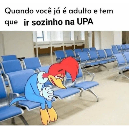 Figurinha: Pica-Pau adulto na UPA