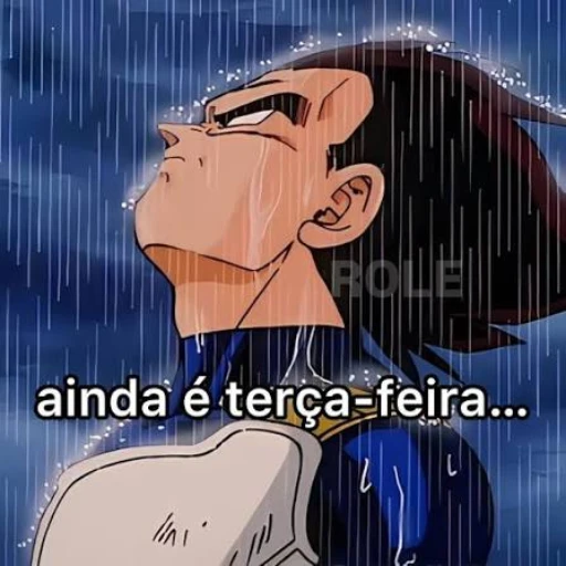 Figurinha: Vegeta: ainda é terça-feira