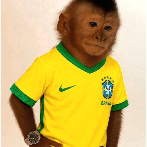 Sticker: Brazil fan monkey