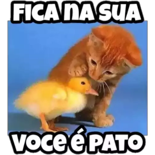 Figurinha: Fica na sua, você é pato