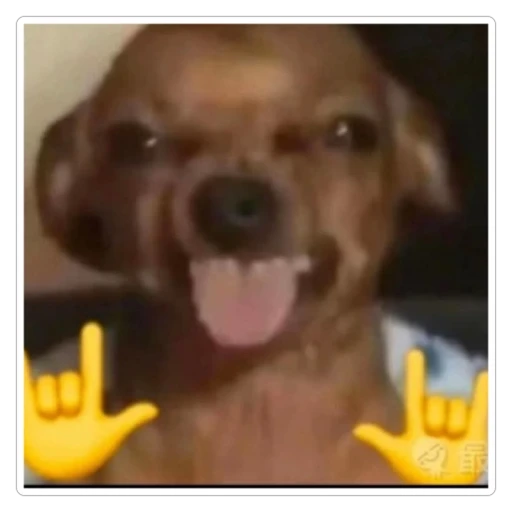Figurinha: Cachorro dando sinal de rock