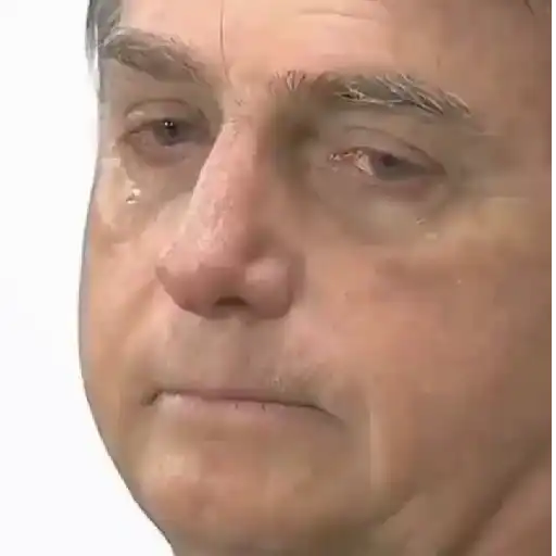 Figurinha: Bolsonaro Chorando