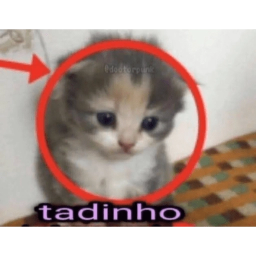 Figurinha: Gatinho "Tadinho"