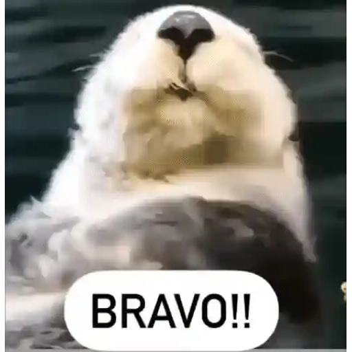 Figurinha: Lontra aplaudindo