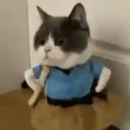 Figurinha: Gatinha Fofa Dançando