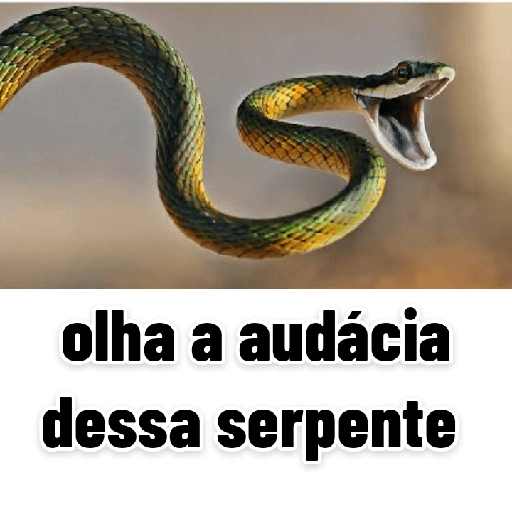 Figurinha: olha a audácia dessa serpente