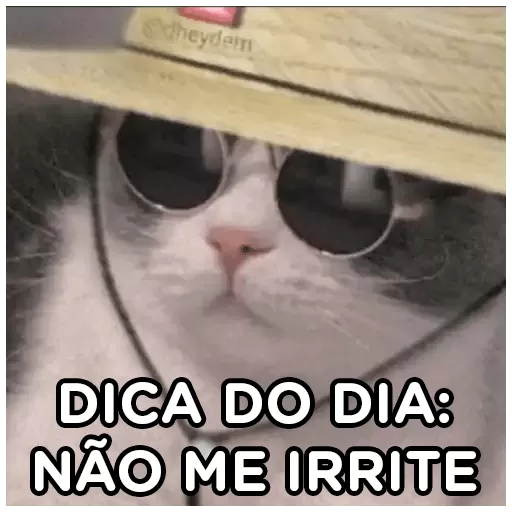 Figurinha: Gato de óculos: Não me irrite