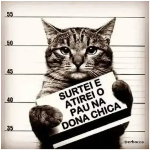 Figurinha: Gato Culpado