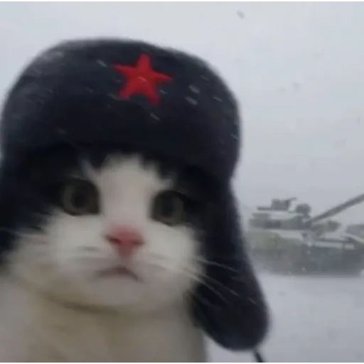 Figurinha: Gato com chapéu soviético e tanque
