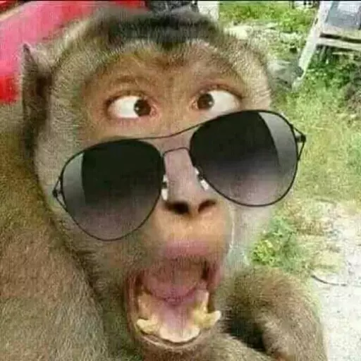 Figurinha: Macaco de Óculos Escuros