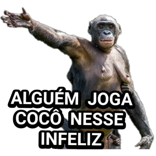 Figurinha: Macaco Pedindo Cocô