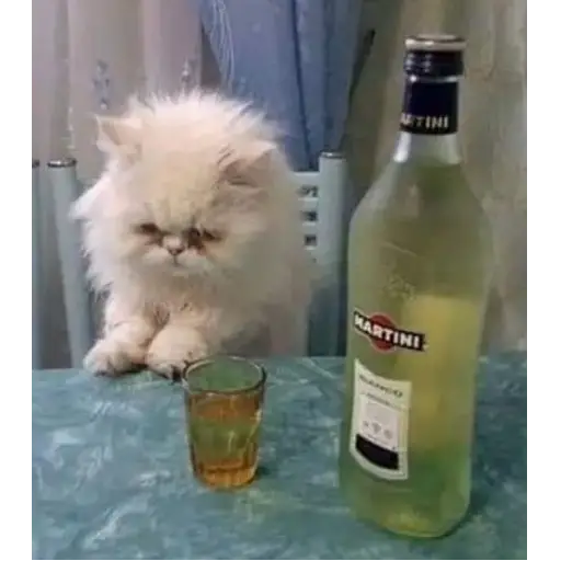 Figurinha: Gato Triste com Martini