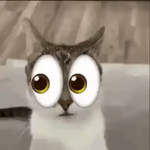 Figurinha: Gato com Olhos Gigantes e Assustados