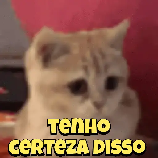Figurinha: Gatinho afirma "Tenho certeza disso"