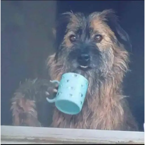 Figurinha: Cachorro tomando café