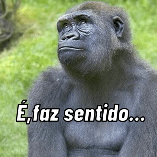 Figurinha: Gorila pensativo
