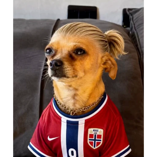 Figurinha: Cachorro estilo Viking