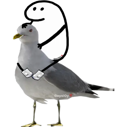 Figurinha: Pombo abraçando gaivota