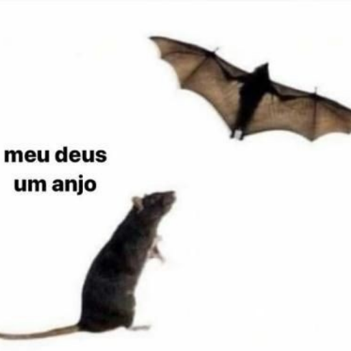 Figurinha: Rato acha que morcego é anjo