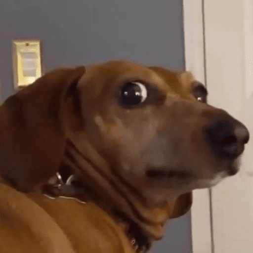 Figurinha: Cachorro assustado