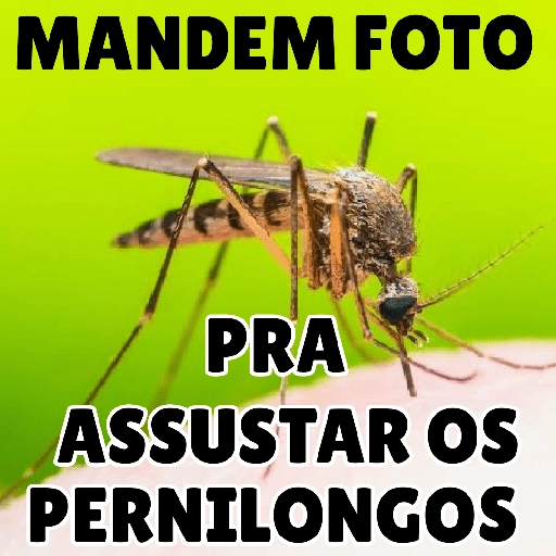 Figurinha: Mandem foto pra assustar os pernilongos