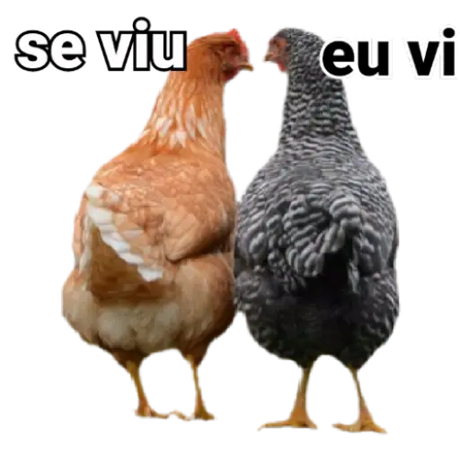 Figurinha: Se viu, eu vi